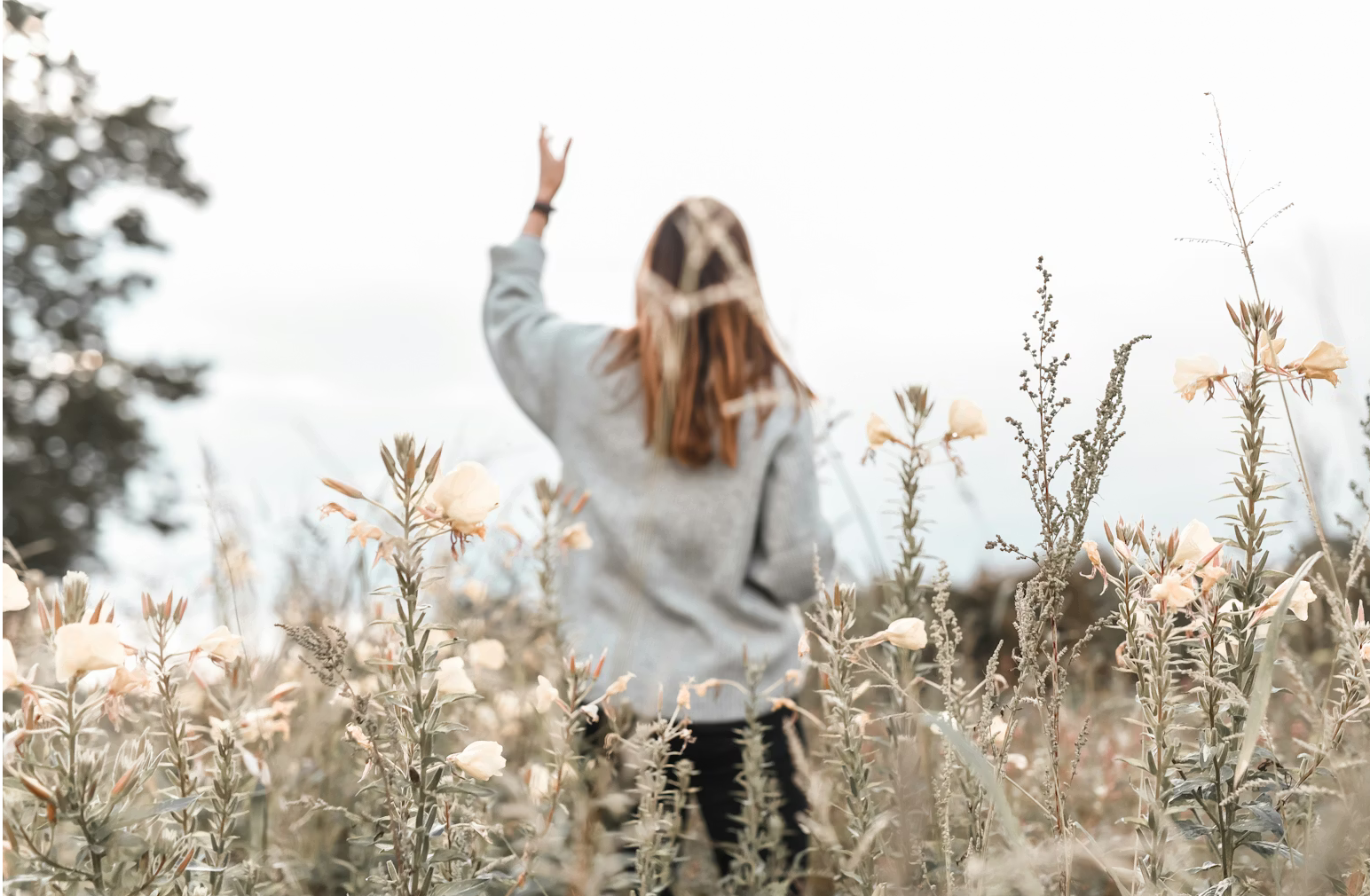 Bildschirmfoto 2026 03 16 um 17.49.38